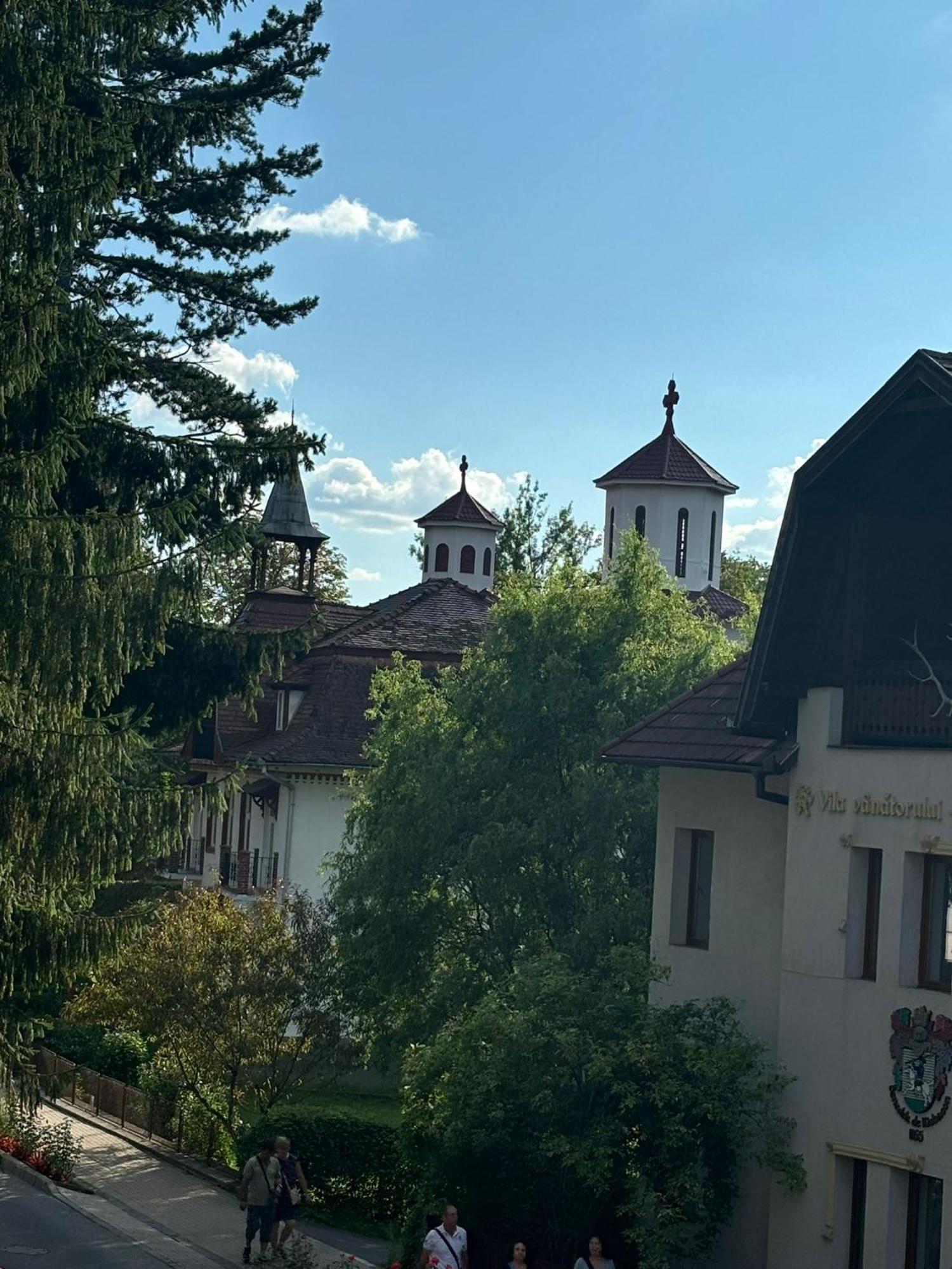 Harmony Apartment Sovata